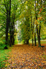 Amazing autumn scene