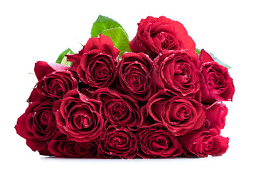 Beautiful red roses with drops of water isolated on white