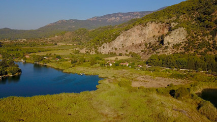 Fototapeta premium reeds and river flowing