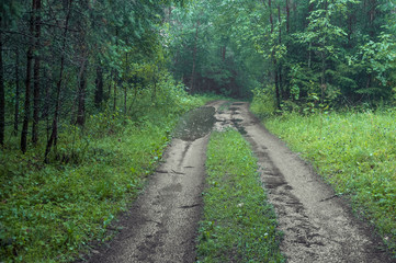 Russian village, roads and puddles, houses, trees. There are clouds in the sky, it's raining.Russian village, roads and puddles, houses, trees. There are clouds in the sky, it's raining.