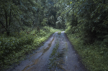 Panoramic view of Russian countryside