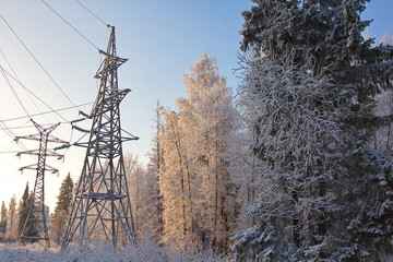 Power lines on the background of a snowy forest and the setting sun