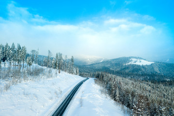 Obraz premium beautiful winter forest and the road