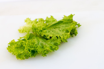 Fresh Lettuce green leaf isolated on a white background. Lettuce leaves vegetable for vegetarian