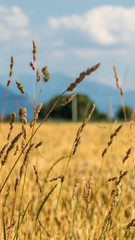 Fototapeta premium Smartphone HD wallpaper of beautiful alpine view near Rosenheim - Bavaria - Germany