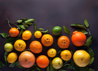 Overhead view of a variety of fresh picked citrus