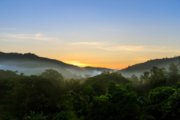 Tropical forest mountain with fog and mist in morning before sun rise at Hang Dong district in Chiang Mai, Thailand