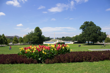 Fototapeta premium National Mall from Capitol Building
