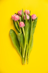Pink tulips on yellow background, flat lay