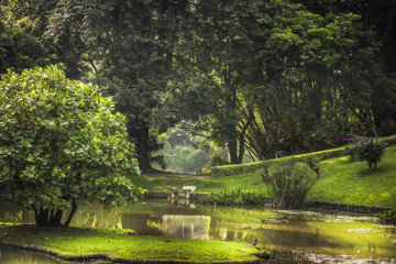 Fototapeta na wymiar Park garden scenery with landscape design in Royal Garden Peradeniya in Sri Lanka nearby Kandy surroundings 