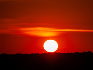 Romantic orange sky at the sunset with few clouds and chemtrails in the dehesa and tree silhouette