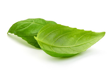 Sweet basil leaves, close up, isolated on white background