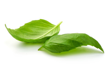 Fresh basil leaves, close up, isolated on white background