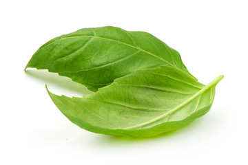 Fresh basil leaves, close up, isolated on white background