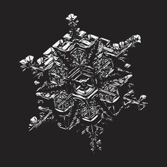 Snowflake glittering on black background. Vector illustration based on macro photo of real snow crystal: beautiful star plate with fine hexagonal symmetry, short, broad arms and glossy relief surface.