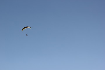 kite in the sky