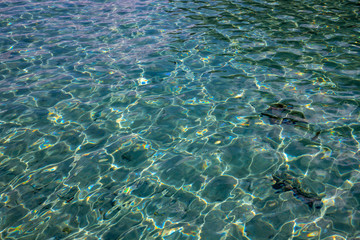 Fototapeta na wymiar Shiny blue tropical sea water texture. Seawater closeup photo. Still sea surface. Transparent water of tropical seaside.