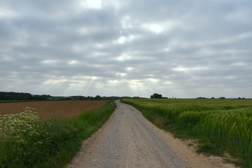 Country road in Huldenberg, Belgium, Brabant