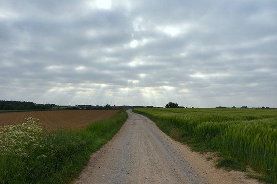 Country road in Huldenberg, Belgium, Brabant