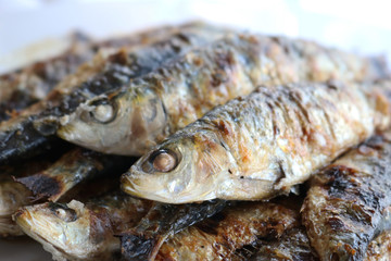 Plate of charcoal-grilled sardines typical of coastal towns