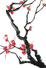 Fototapeta na wymiar A branch of a blossoming sakura. Pink and red stylized flowers of plum mei and wild cherry . Watercolor and ink illustration of tree in style sumi-e, go-hua, u-sin. Oriental traditional painting. .