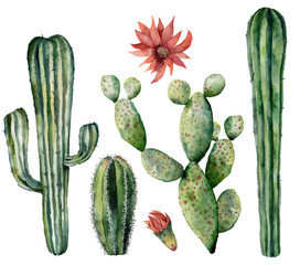 Aquarel cactussen set met bloem. Handgeschilderde dessertplanten met bloemen geïsoleerd op een witte achtergrond. Botanische illustratie voor ontwerp, print of kaart.