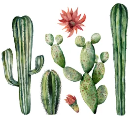 Fotobehang Cactus Aquarel cactussen set met bloem. Handgeschilderde dessertplanten met bloemen geïsoleerd op een witte achtergrond. Botanische illustratie voor ontwerp, print of kaart.