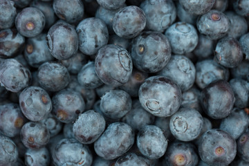  Texture blueberry berries close up. Top view.
