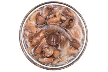 Organic boletus luteus marinated mushrooms.