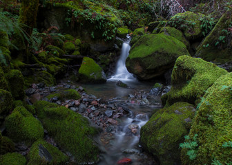 Magical Spring Hidden in the Forest