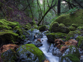 Stream flowing down the mountain