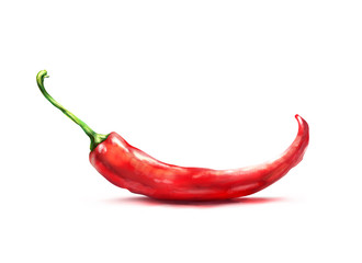 Chilli. Figure hot pepper isolated on white background
