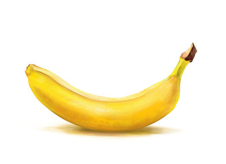 Banana. Banana drawing isolated on white background