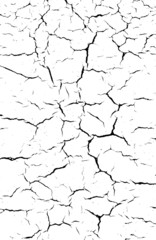 Leather skin texture,crack in vector.