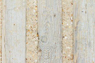 the texture of the sand with seashells for a summer background