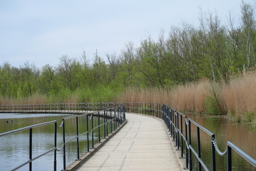 wooden bridge over lake