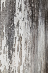 Side view of a weathered and old gray concrete wall, plaster is partly peeled off. Selective focus, shallow depth of field.