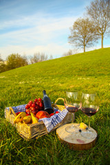 Picnic at the park on the grass: tablecloth, basket, healthy food and accessories