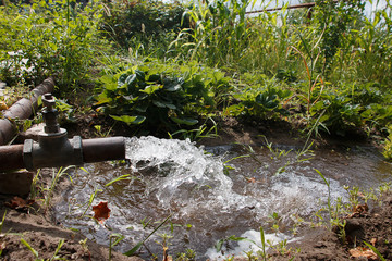 strong water pressure from the tap for watering plants on the plot, in the garden
