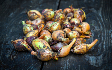 natural food, yellow  onion on a wooden table