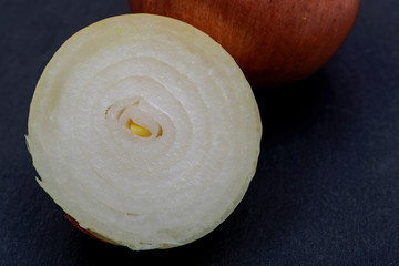 Fresh organic cut in half onion with sprout on natural stone background.