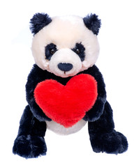 Panda bear stuffed plush toy with red fluffy heart isolated on white background.