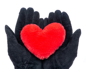 Hands in black gloves holding Red fluffy plush Heart isolated on white background.