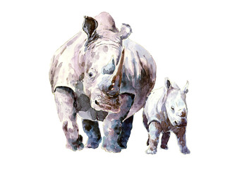 Obraz premium Nosorożec z cielakiem w dzikim środowisku. akwarela.