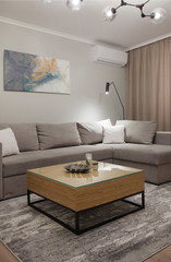 Grey corner couch with three pillows standing in bright living room interior with painting and carpet.Lightning on