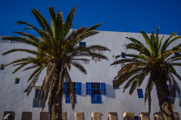 buildings in essaouira