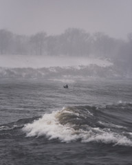 Surfing in the winter