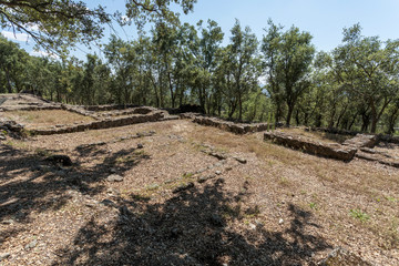 Santo Tirso Chester of Monte Padrao
