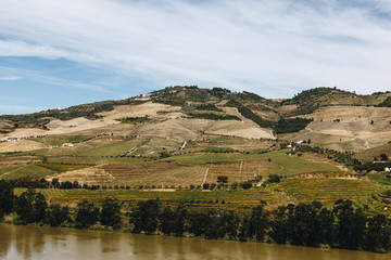 Fototapeta premium View from Pinhao village in Portugal to Douro valley and river