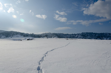 Winter landscape and blue sky.Footprints in the snow